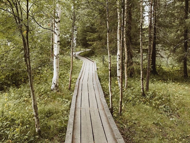 Vallilassa varaudutaan koronavirukseen (COVID-19)